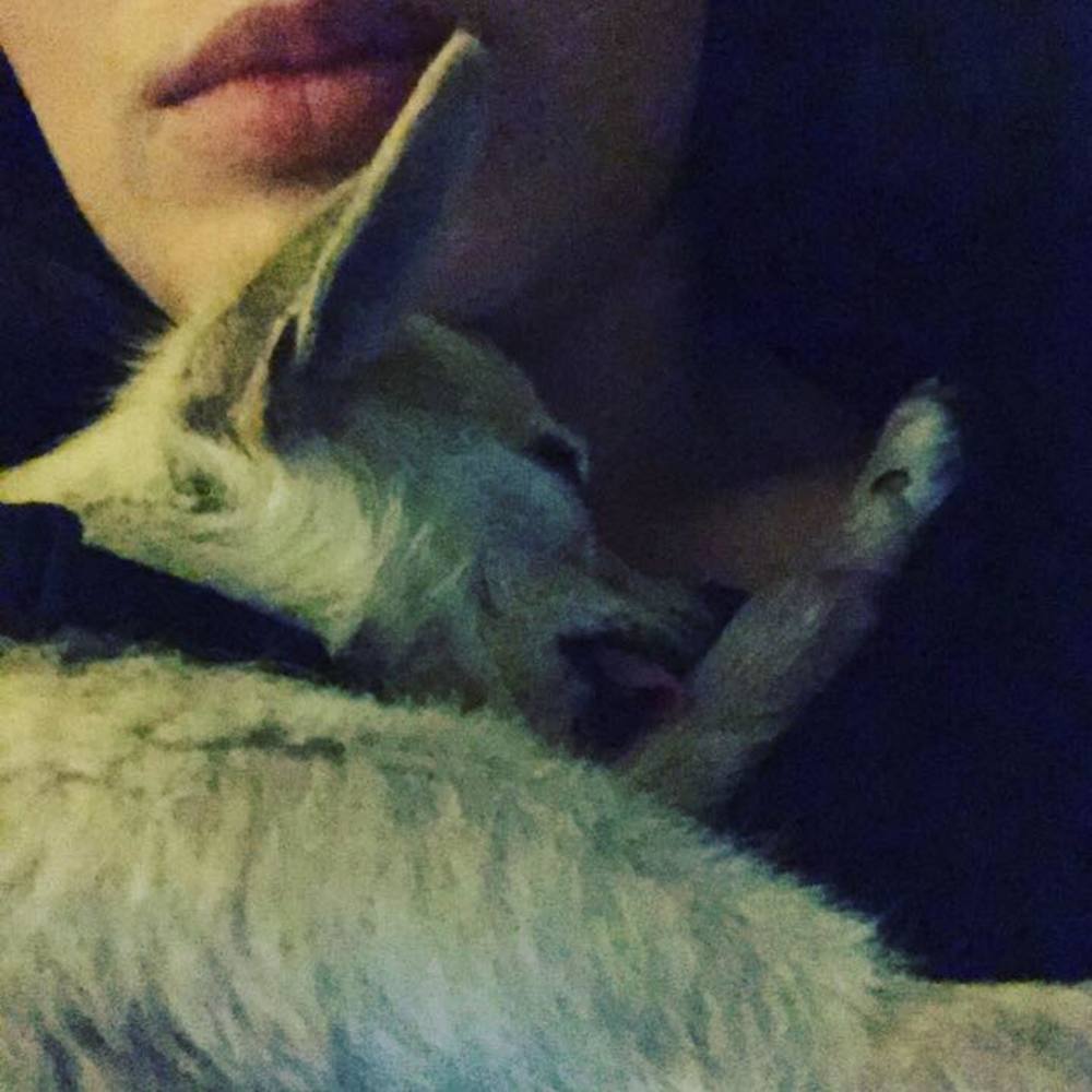 Meet your Posher, Arissa